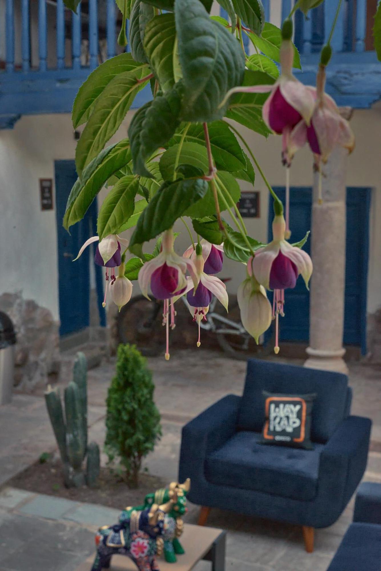 Way Kap Hostel Cuzco Exterior foto